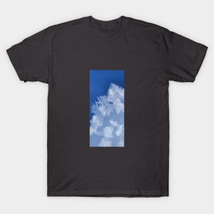 Blue ice T-Shirt